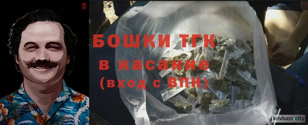 ECSTASY Ельня