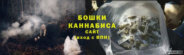 крисы Дмитриев