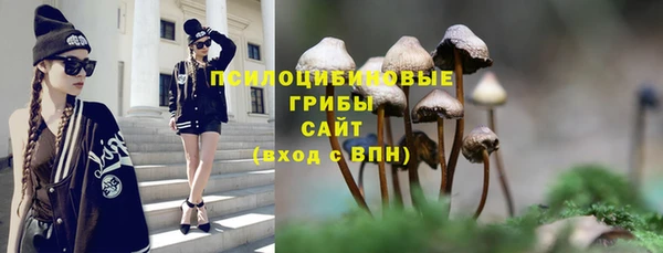 ECSTASY Ельня