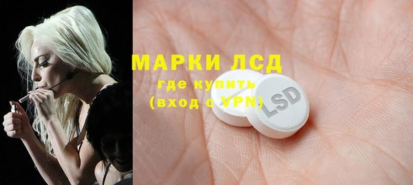 ECSTASY Ельня