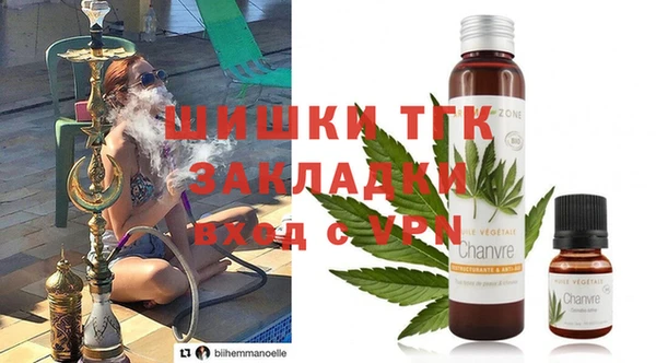 индика Дмитров