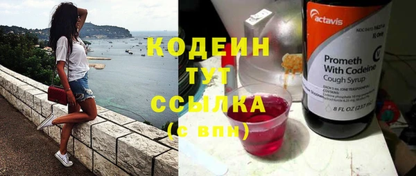ECSTASY Ельня