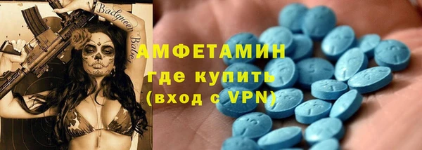 ECSTASY Ельня